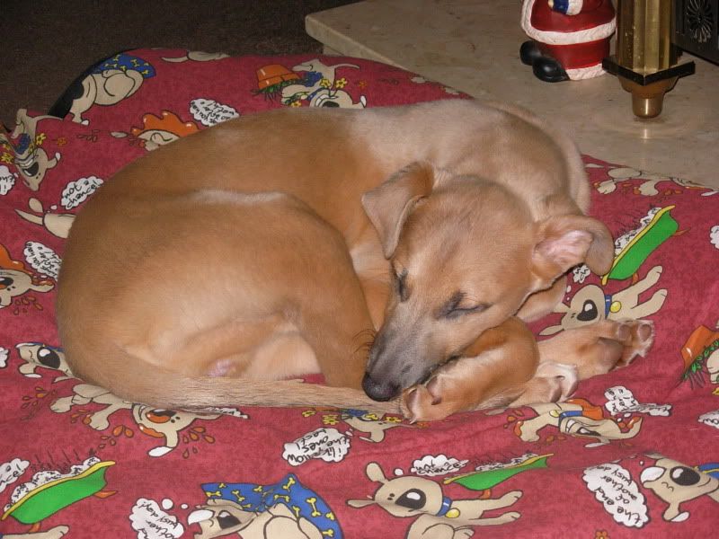 DSCN1789.jpg