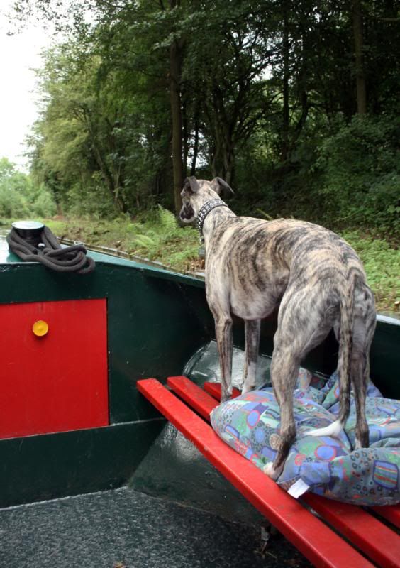 MacclesfieldCanal75.jpg