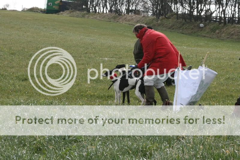 IMG_0050hd.jpg
