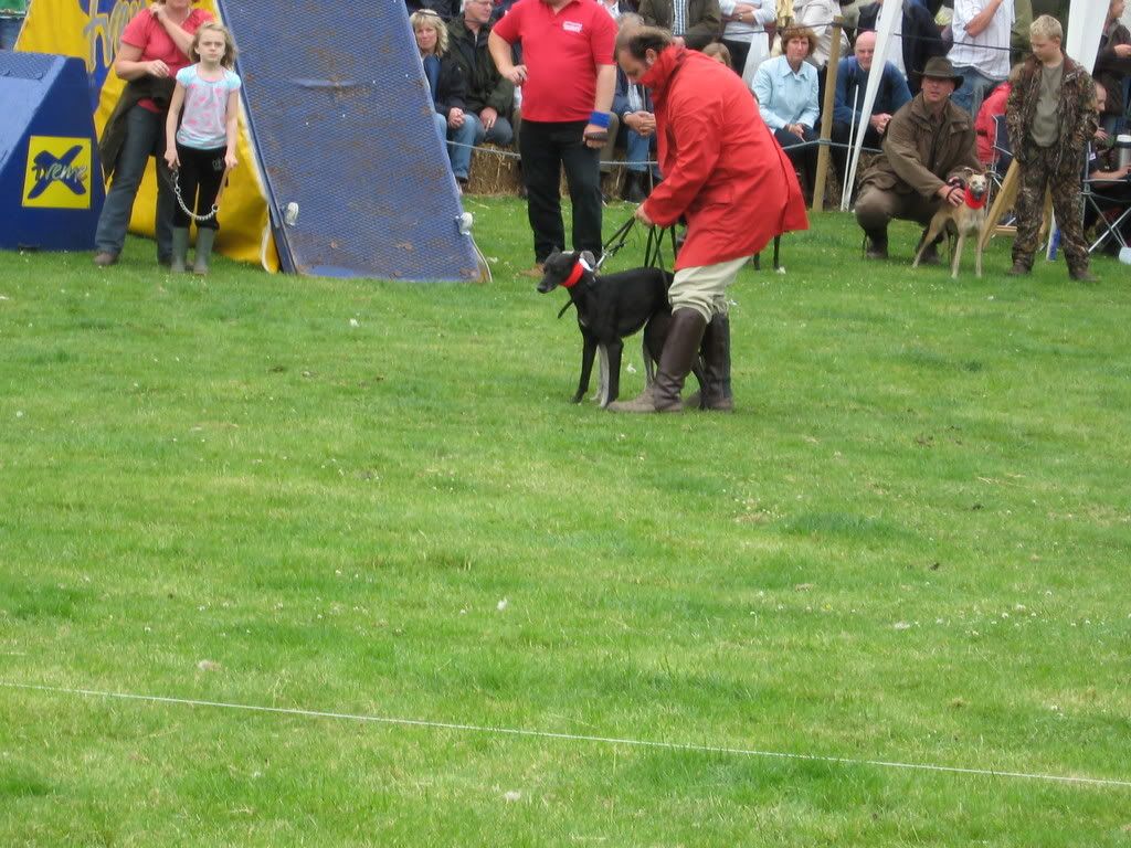 IMG_0114.jpg
