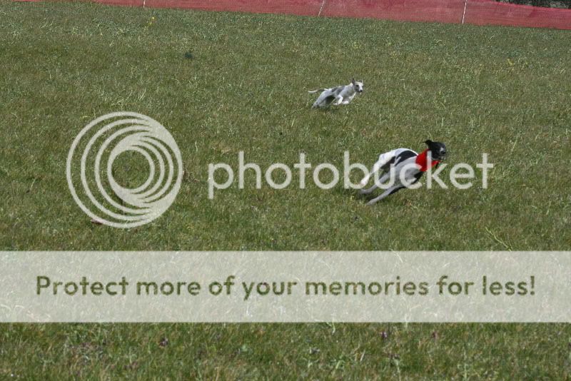 IMG_0080HD.jpg