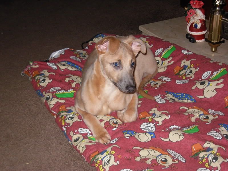 DSCN1776.jpg