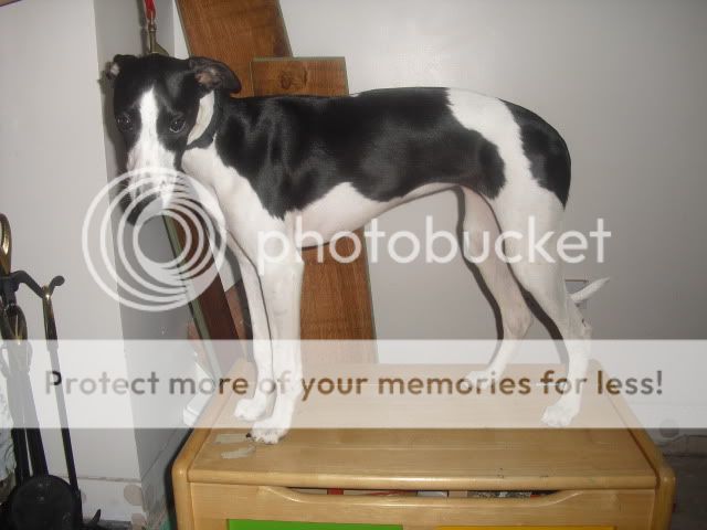 CIMG1587.jpg