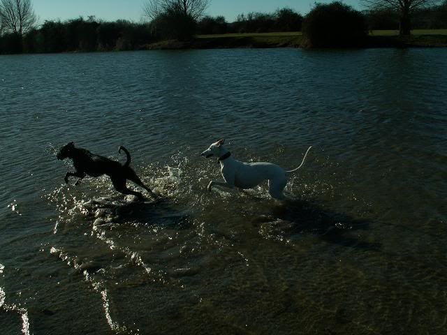 inthewater1.jpg