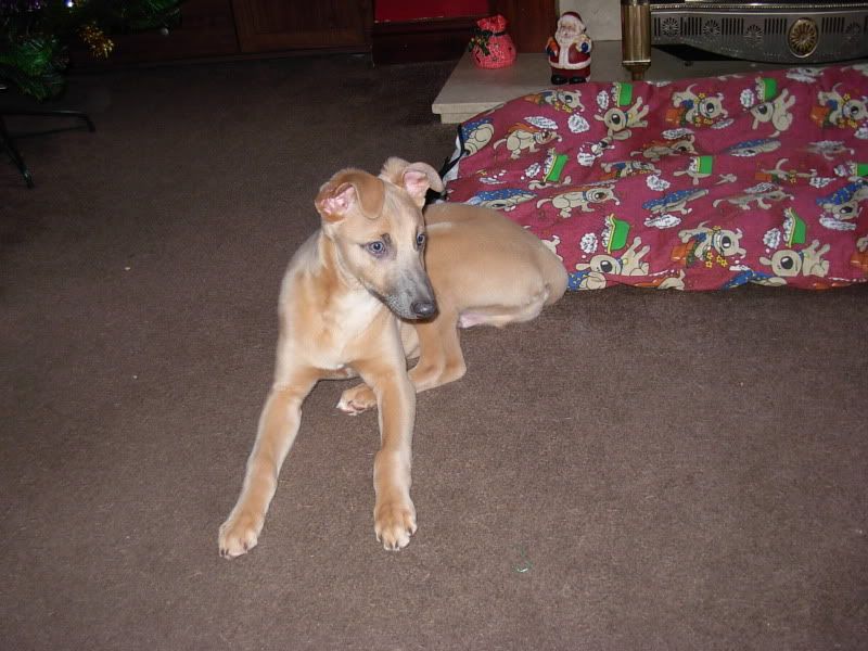 DSCN1773.jpg