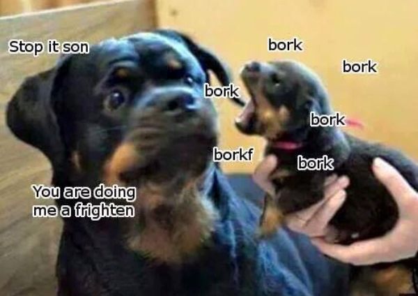 frighten.jpg