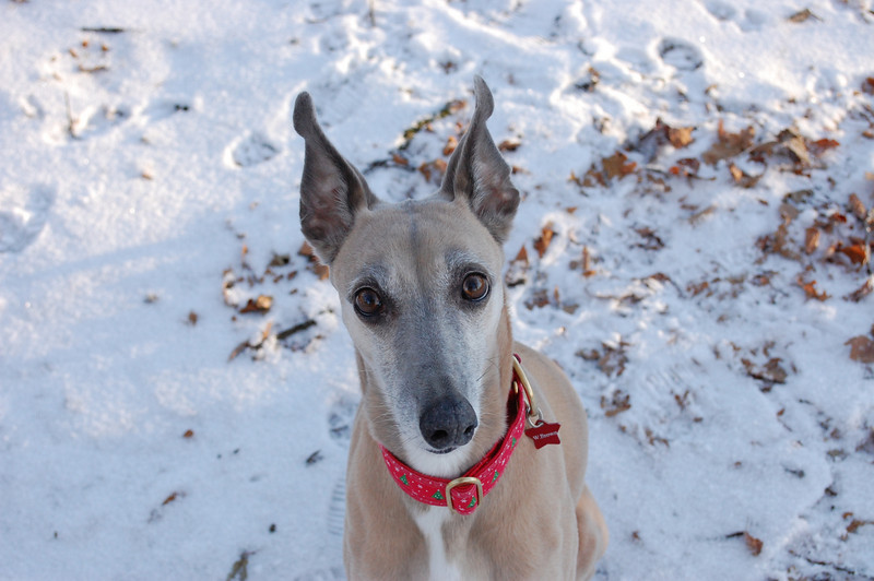 1152869546_F5gnY-L.jpg