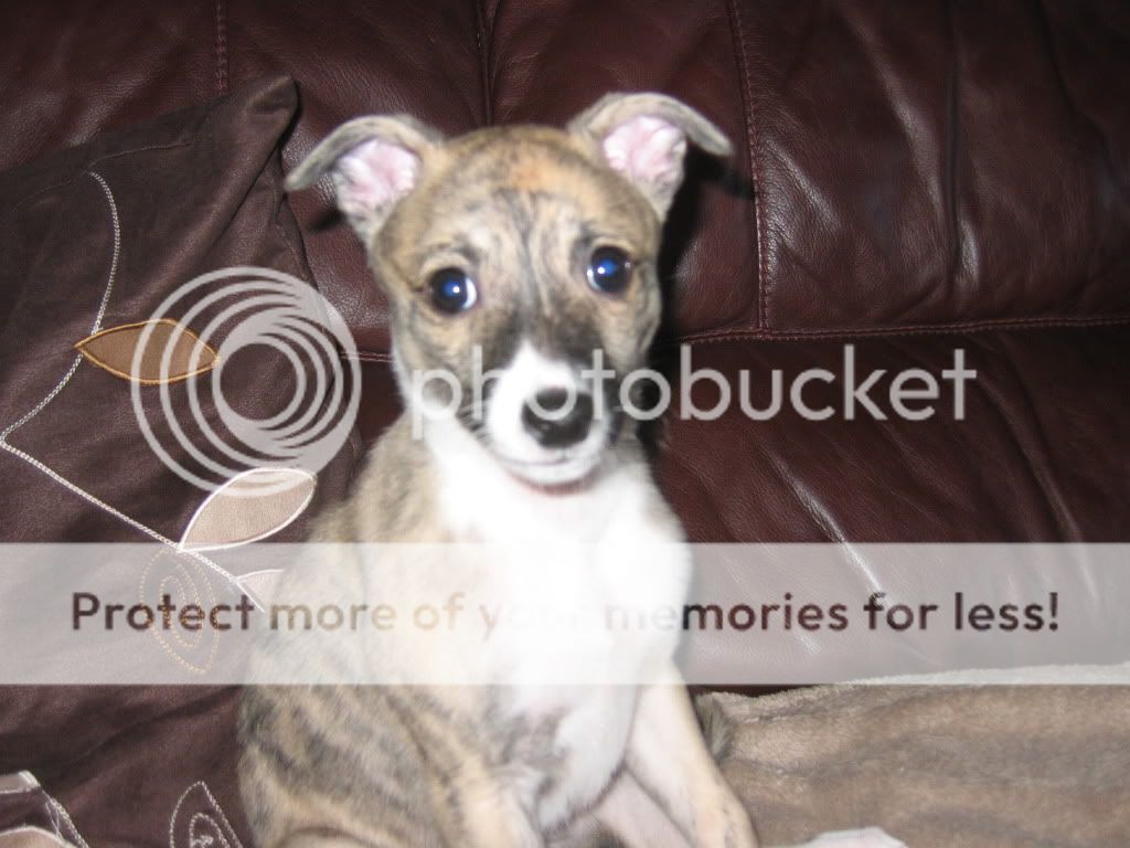 feb2010026.jpg