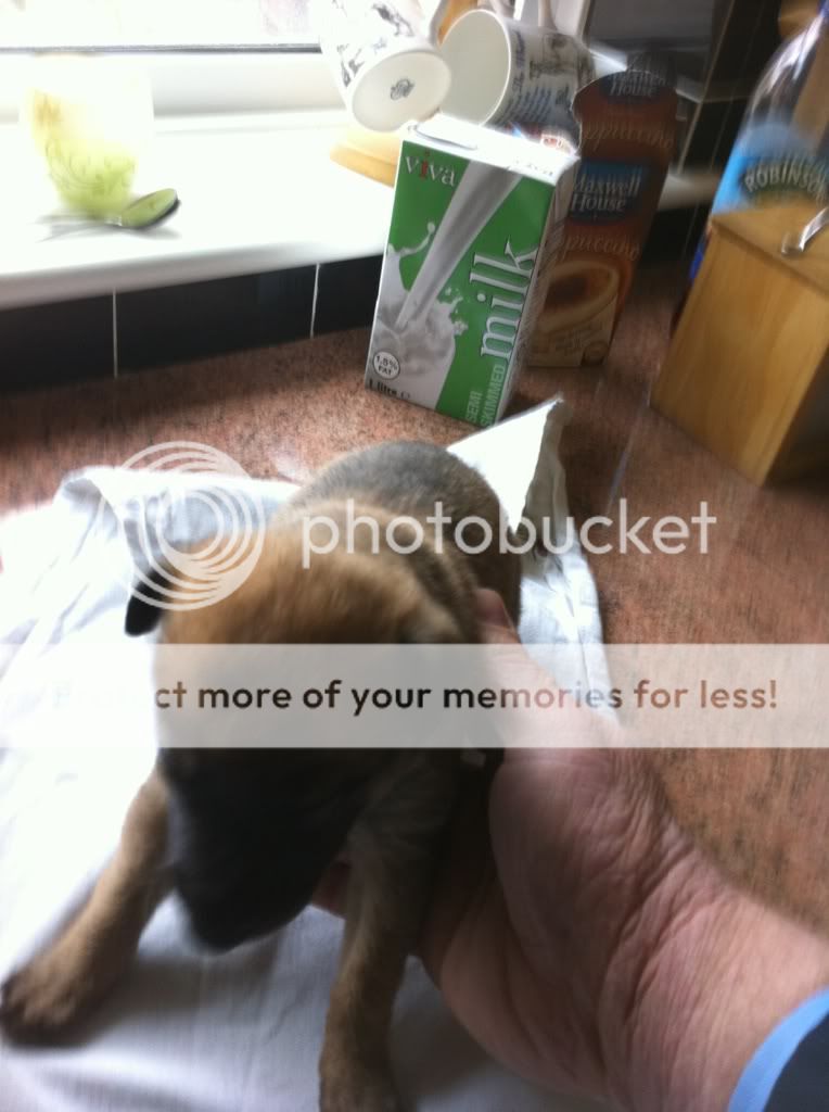 camera009.jpg