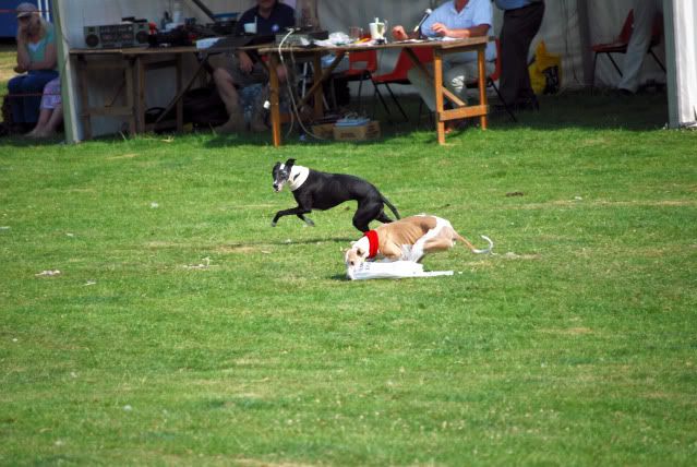 DSC_0162.jpg