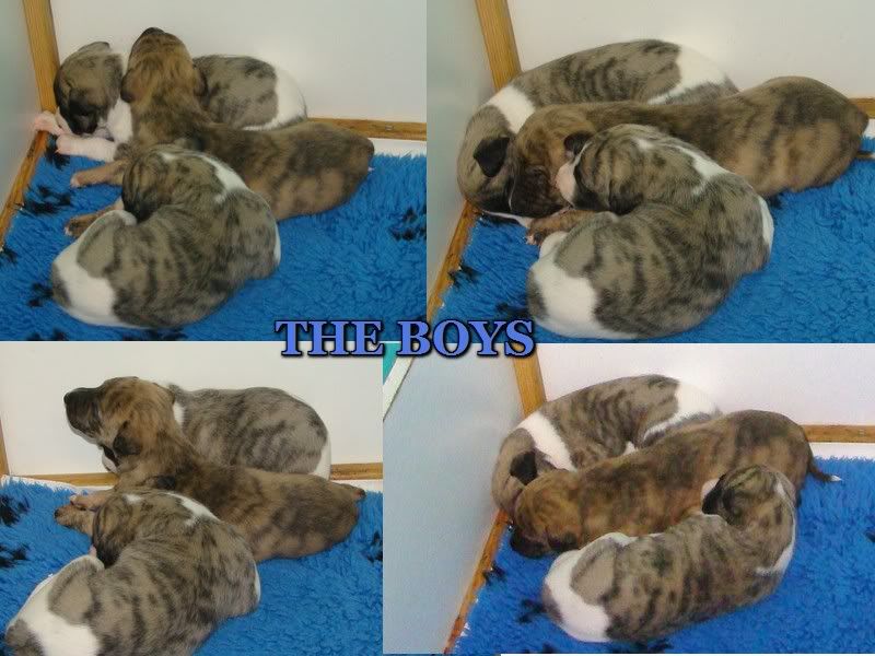 BOYS.jpg