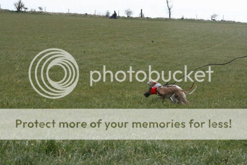 IMG_0030HD.jpg