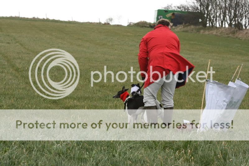 IMG_0001HD.jpg