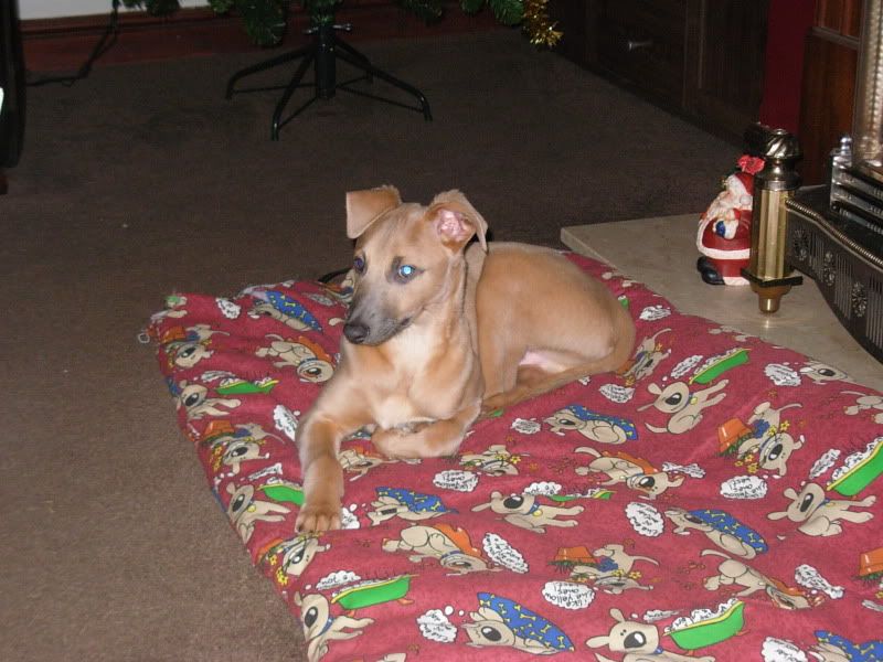 DSCN1791.jpg