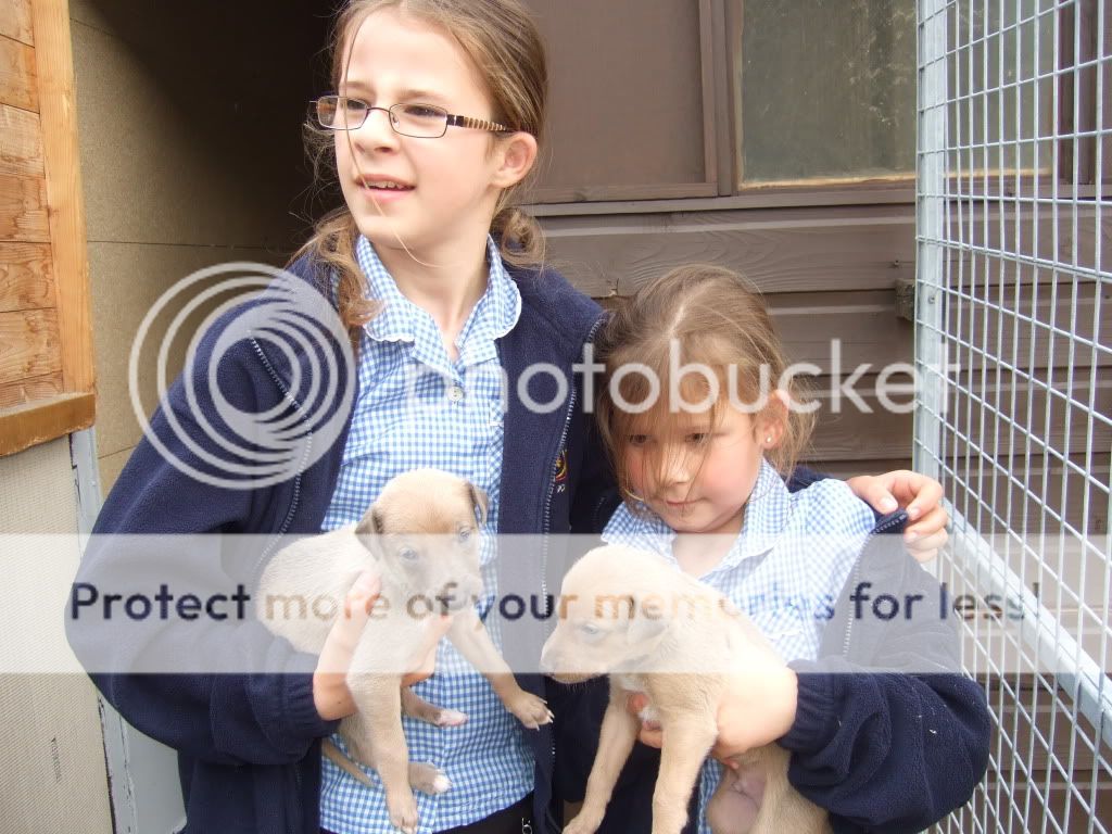 amandapups070.jpg