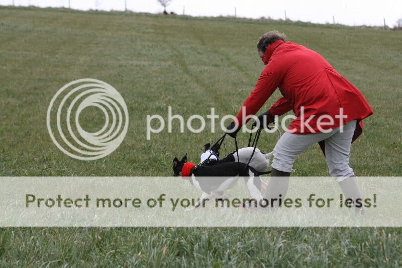 IMG_0007HD.jpg
