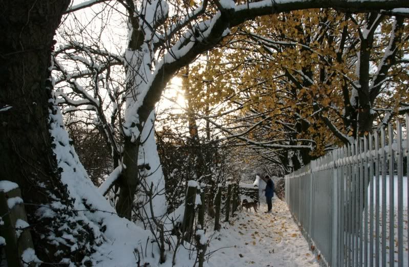 Evennmoresnow27112010053.jpg