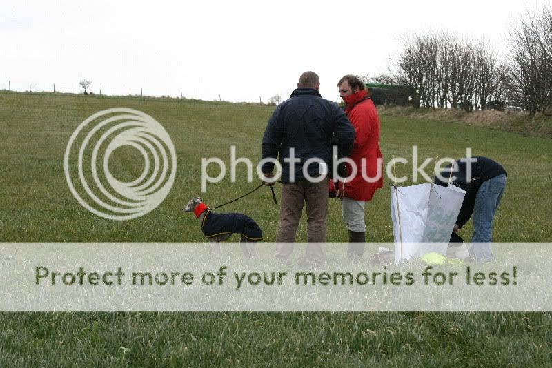 IMG_0006HD.jpg