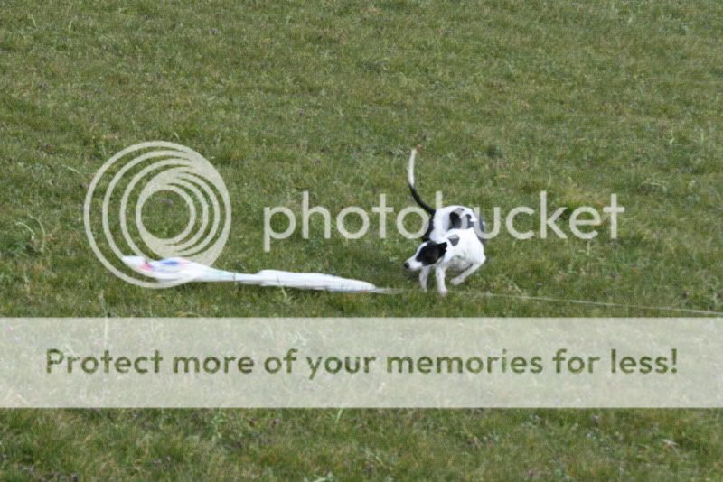 IMG_0074hd.jpg