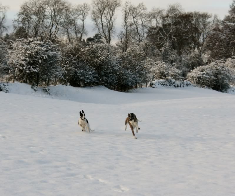 Evennmoresnow27112010016.jpg