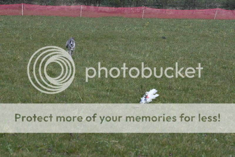 IMG_0088hd.jpg