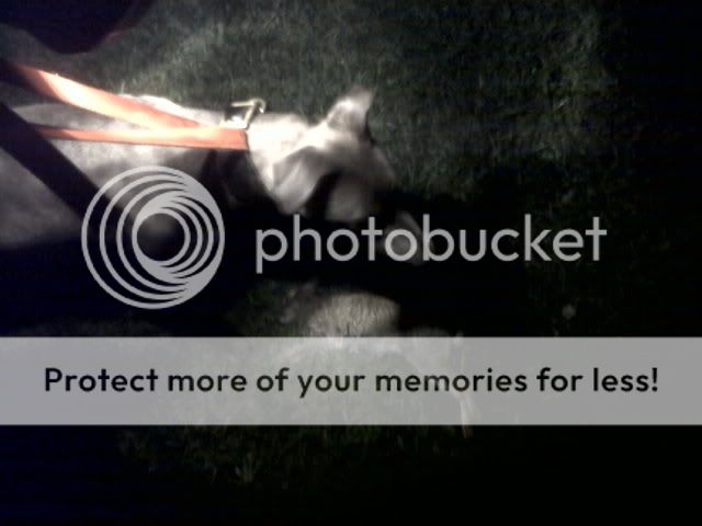 IMG00027-20101016-2156.jpg