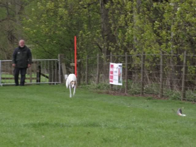 catonpark1036.jpg