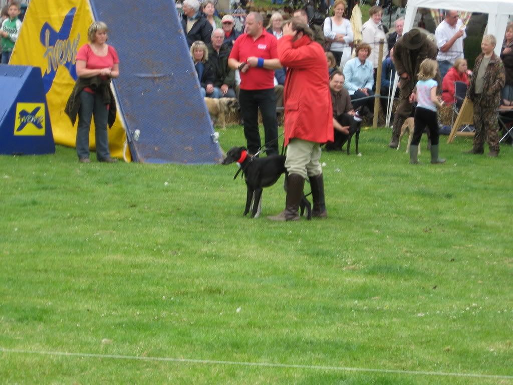 IMG_0113.jpg