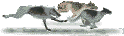 f8e7252a.gif